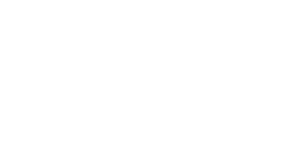 stylua